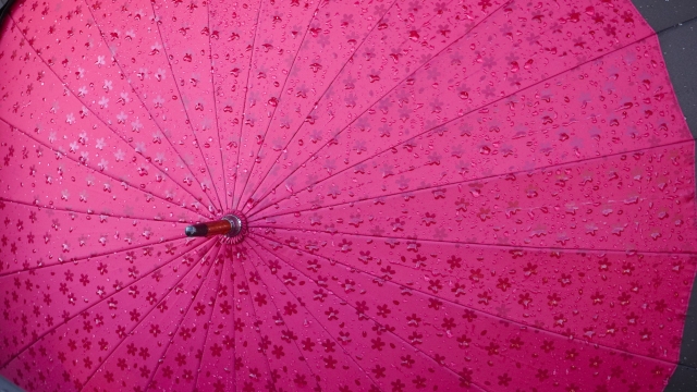 赤い雨傘